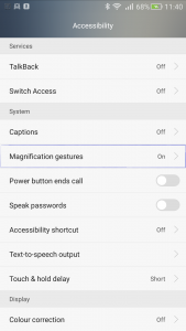 Magnifier Option