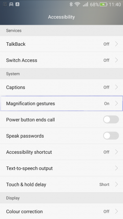 Magnifier Option