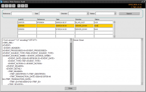Web service audit.png