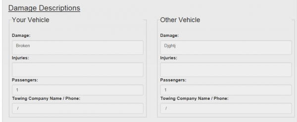 VEhub AccidentReportDetails2.PNG