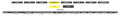 Thumbnail for version as of 08:07, 2 August 2024